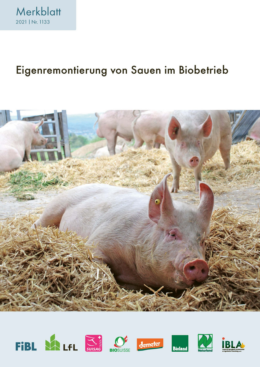 Cover Merkblatt Eigenremontierung